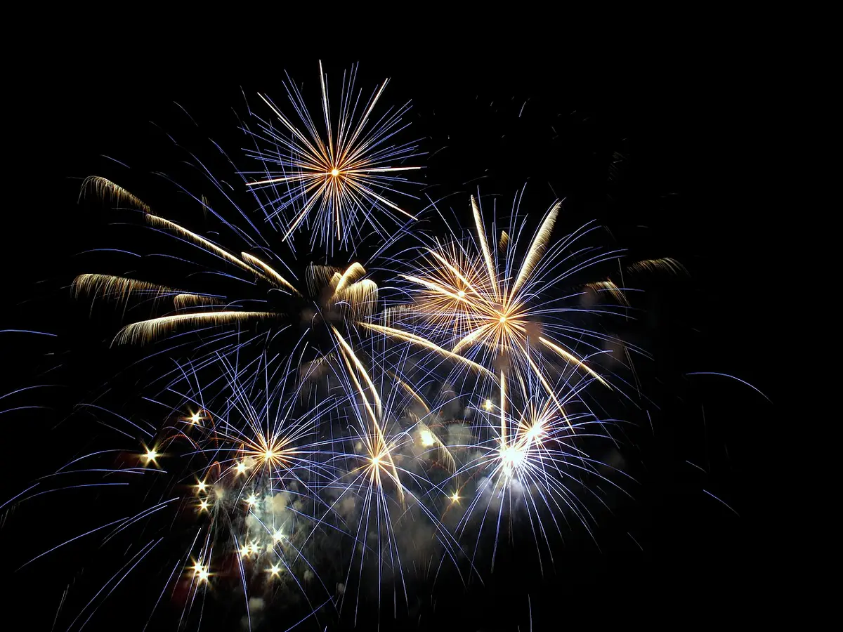 Fireworks bursting against a night sky